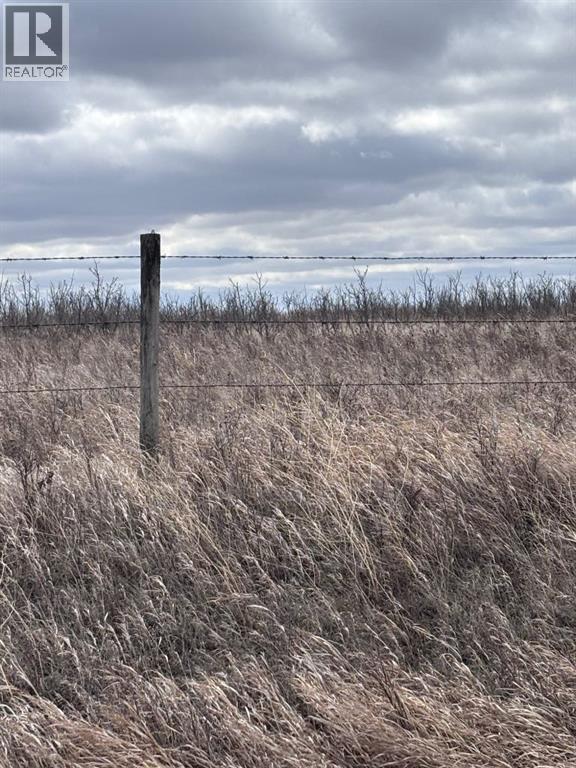 On Hwy 886, Consort, Alberta  T0C 1B0 - Photo 6 - A2308117