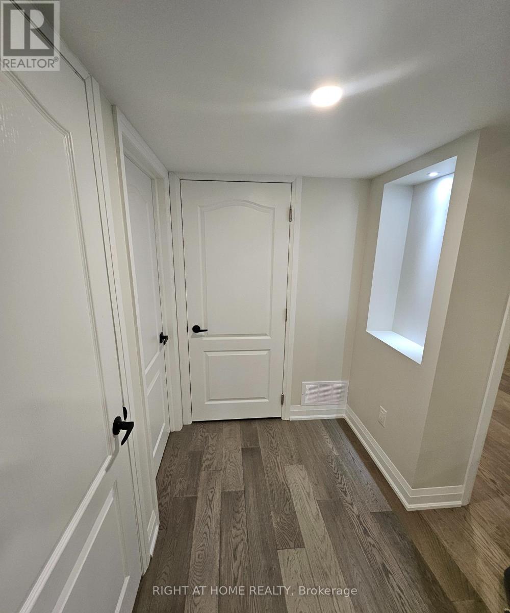 Basement - 85 Onyx Court, Hamilton, Ontario  L8W 4A3 - Photo 7 - X13086740