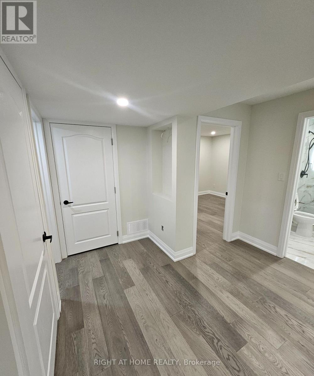 Basement - 85 Onyx Court, Hamilton, Ontario  L8W 4A3 - Photo 8 - X13086740