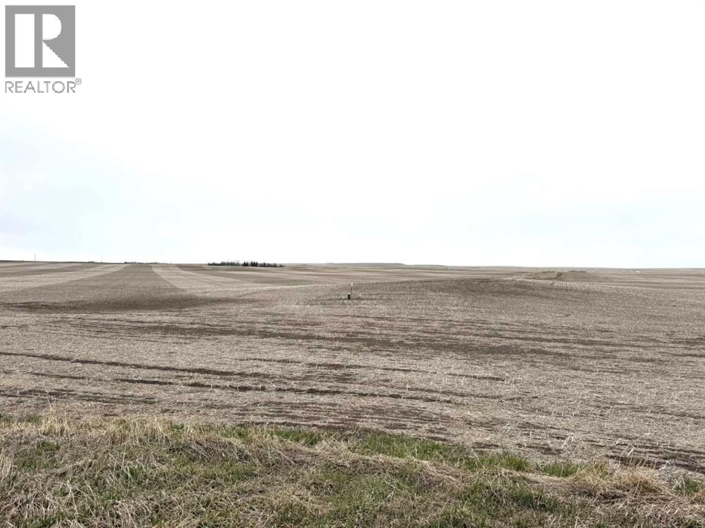 466 Ave E., Rural Vulcan County, Alberta  T0L 0J0 - Photo 4 - A2308257
