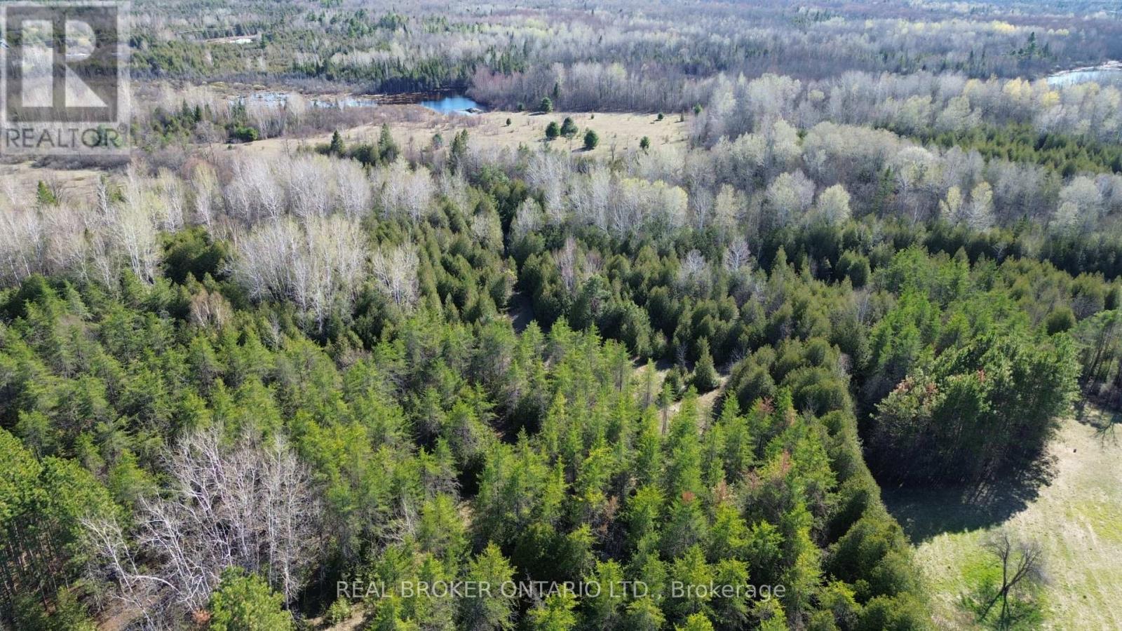 00 Bolton Road, North Grenville, Ontario  K0G 1N0 - Photo 5 - X13086750