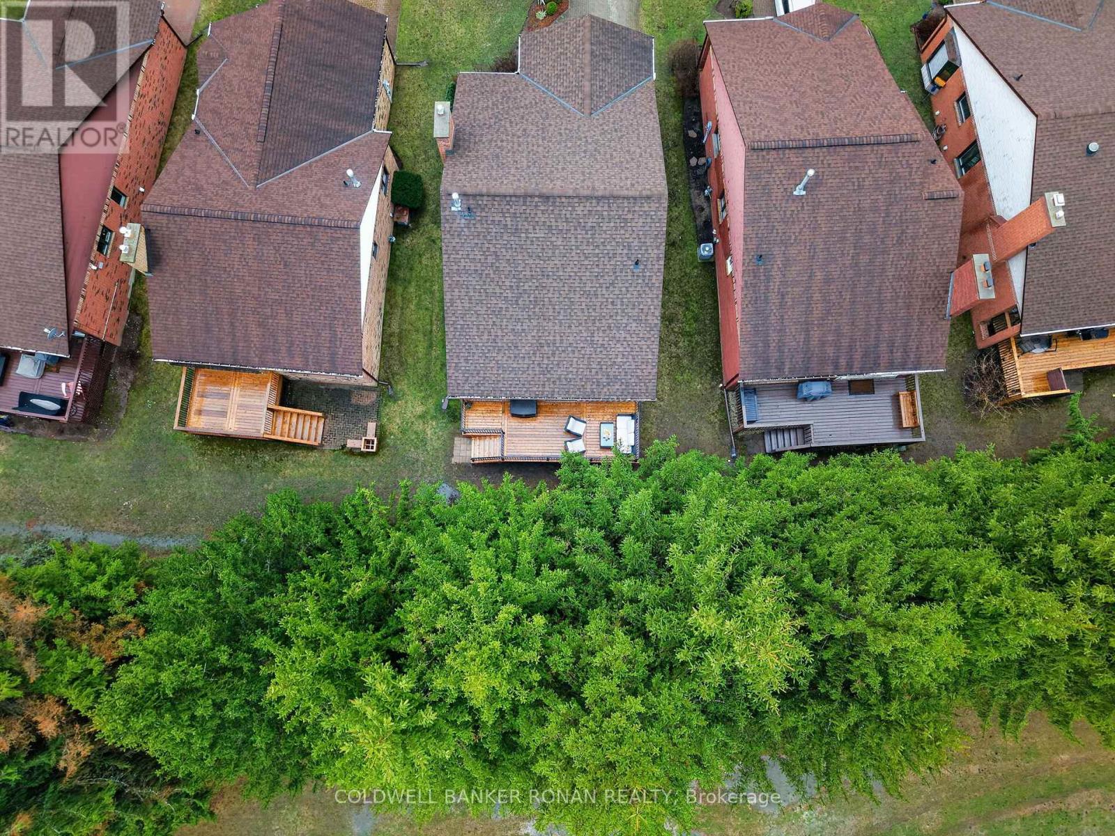 16 Green Briar Road, New Tecumseth (Alliston), Ontario  L9R 1R5 - Photo 47 - N13086934