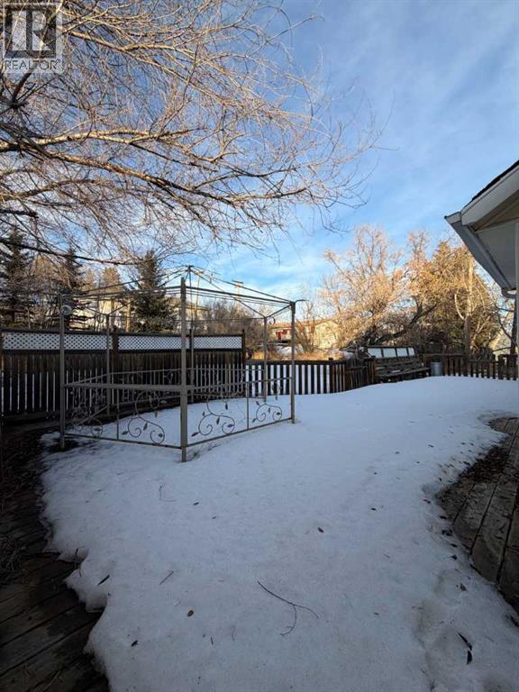 5011 53 Street, Consort, Alberta  T0C 1B0 - Photo 35 - A2287439