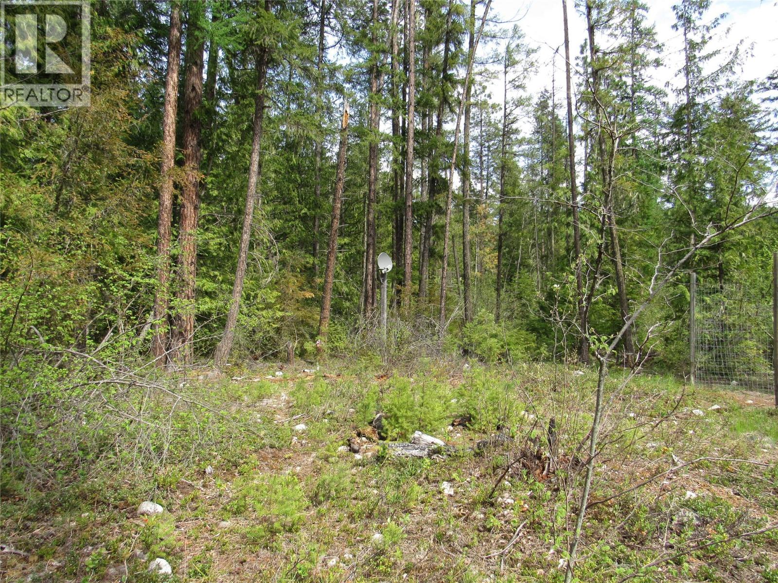 5538 Ducksway Road Lot# 6, Winlaw, British Columbia  V0G 2J0 - Photo 43 - 10385046