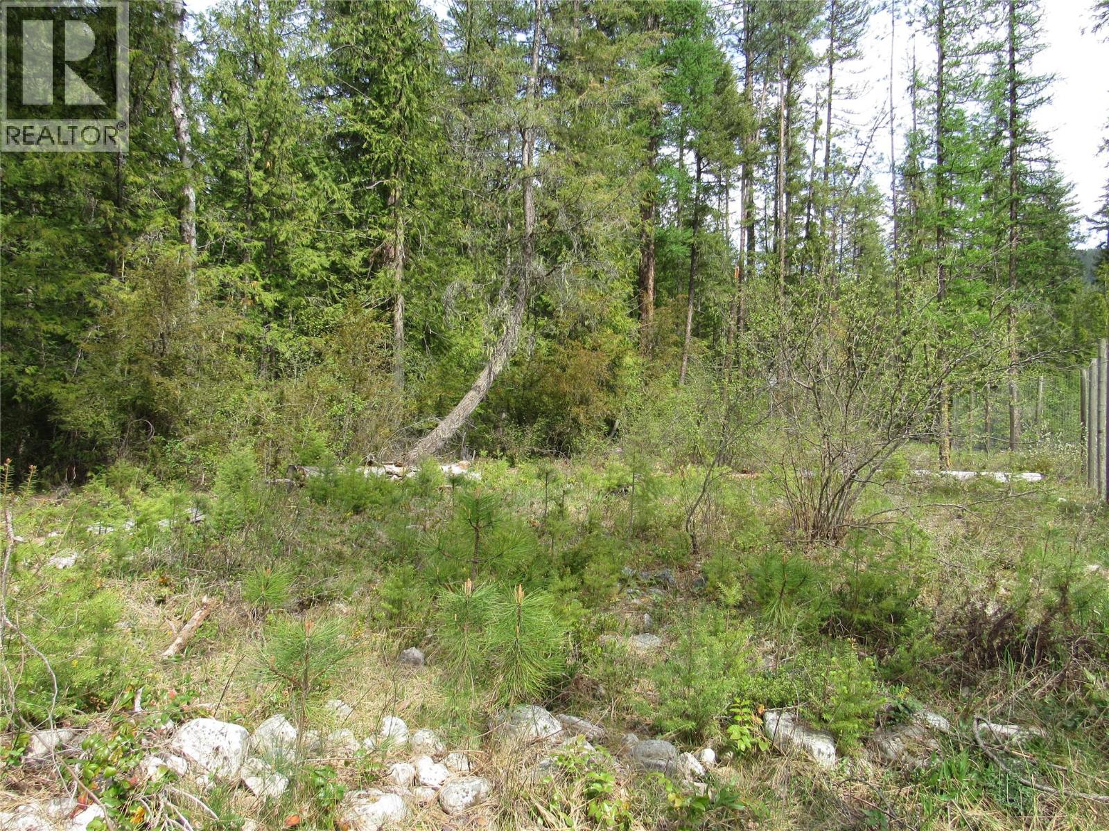 5538 Ducksway Road Lot# 6, Winlaw, British Columbia  V0G 2J0 - Photo 45 - 10385046