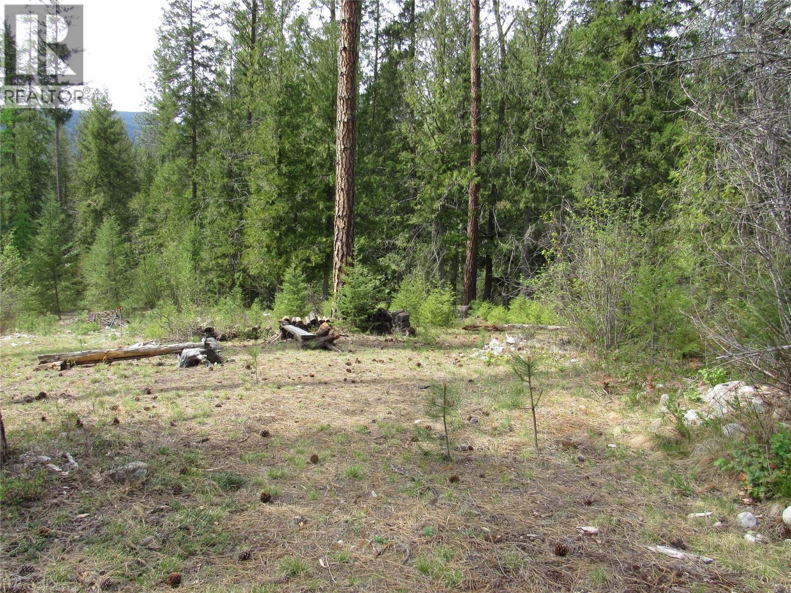 5538 Ducksway Road Lot# 6, Winlaw, British Columbia  V0G 2J0 - Photo 46 - 10385046