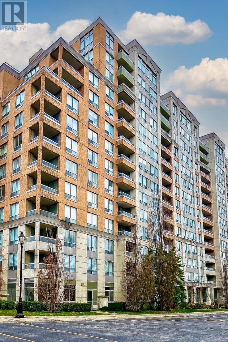 203 - 29 NORTHERN HEIGHTS DRIVE, Richmond Hill, Ontario
