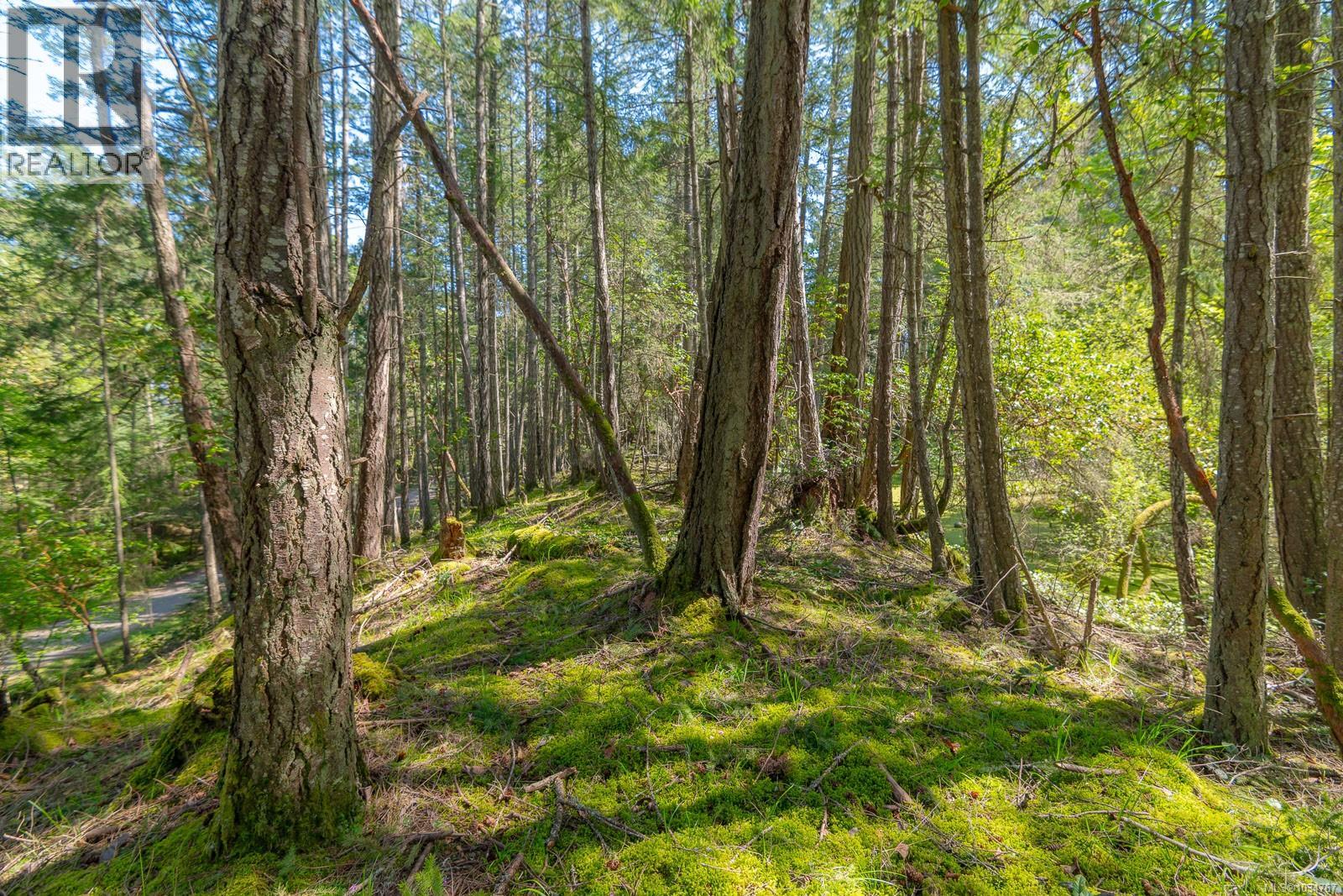 535 Cardale Rd, Decourcy Island, British Columbia  A1A 1A1 - Photo 10 - 1034767
