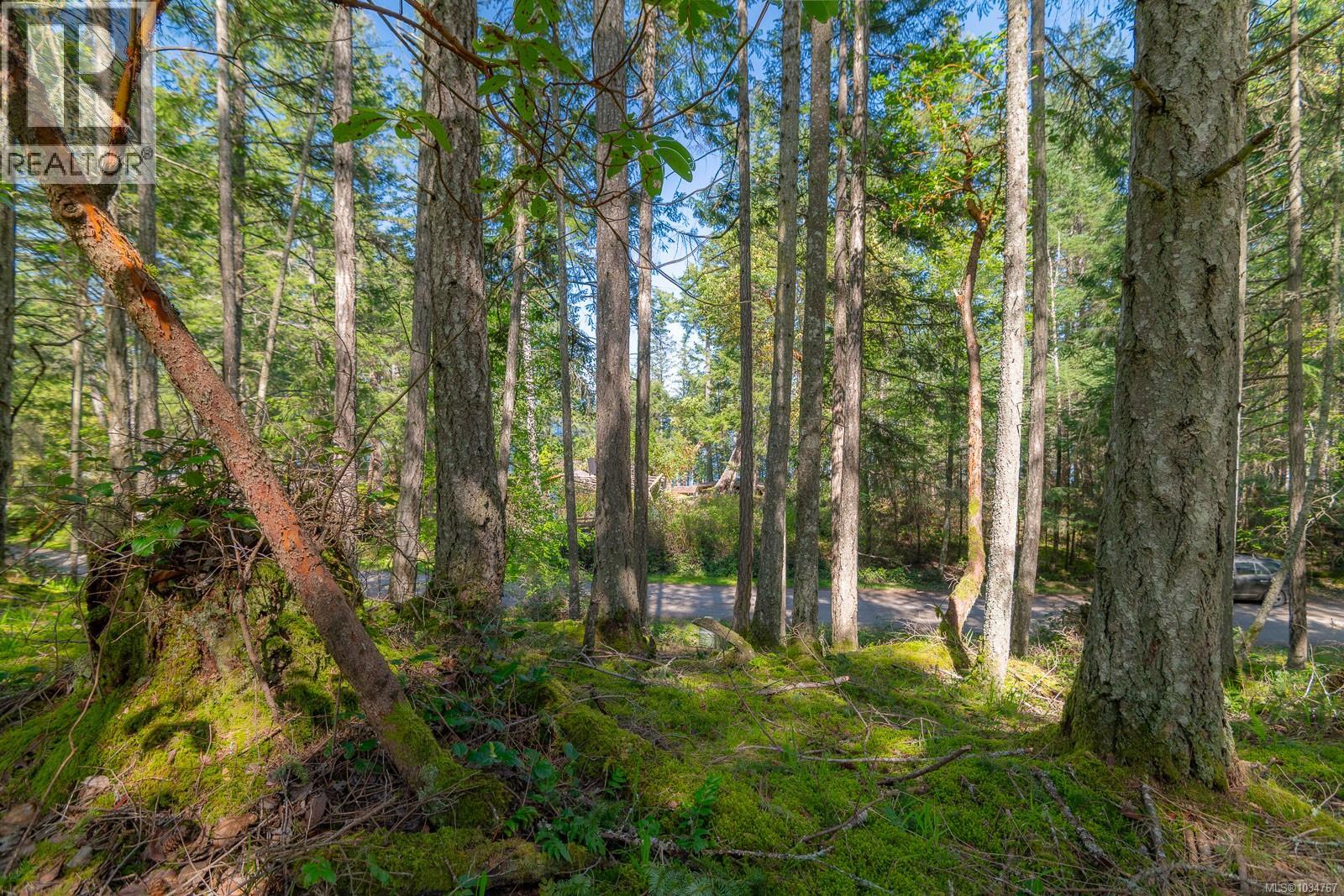 535 Cardale Rd, Decourcy Island, British Columbia  A1A 1A1 - Photo 11 - 1034767