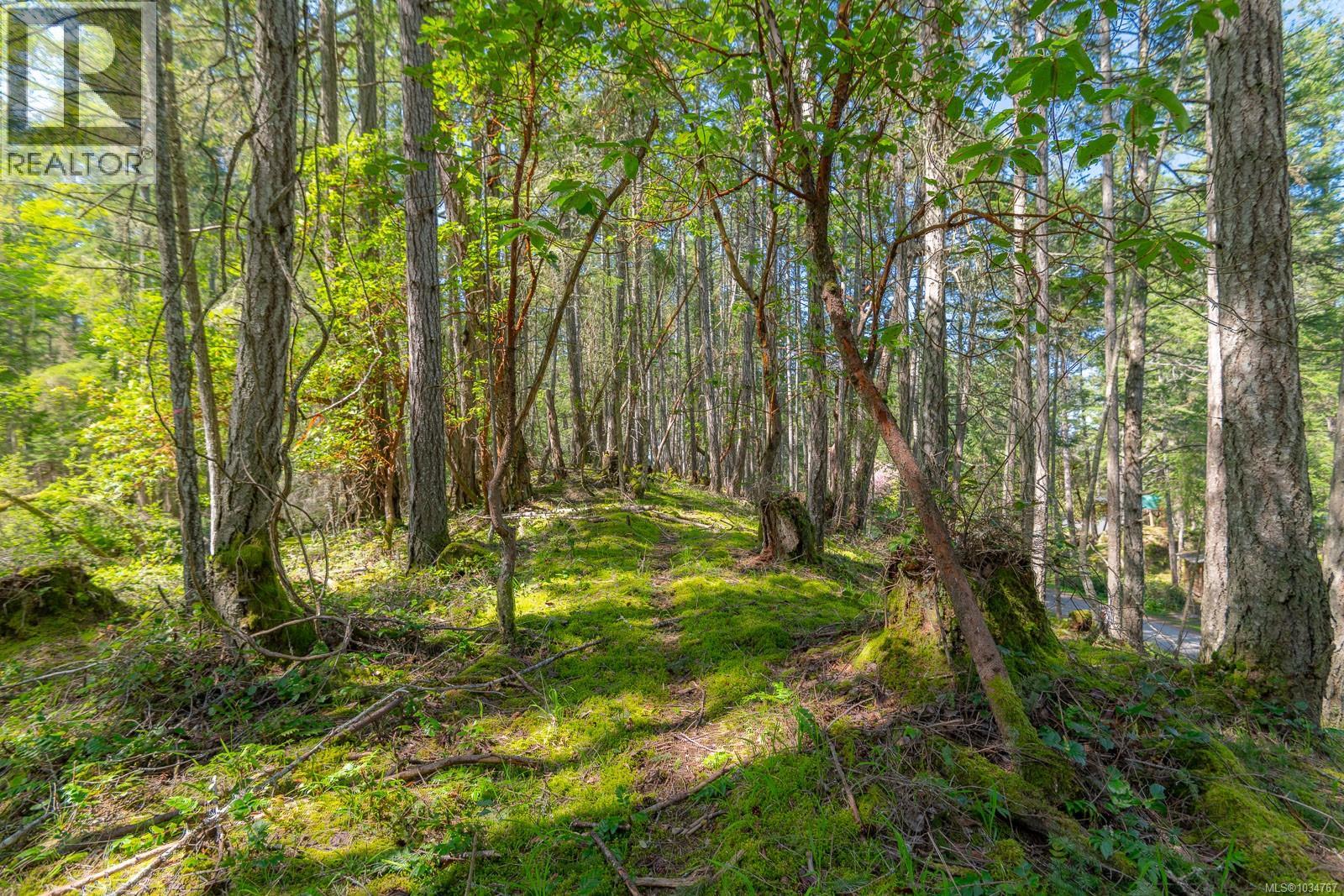 535 Cardale Rd, Decourcy Island, British Columbia  A1A 1A1 - Photo 7 - 1034767