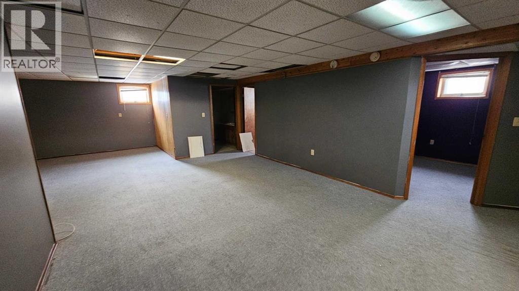 38505 Range Road 92, Rural Paintearth No. 18, Alberta  T0C 1C0 - Photo 33 - A2289624