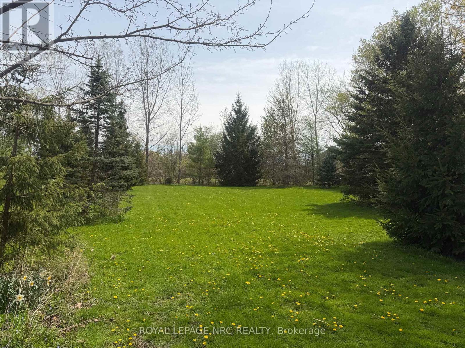 41937 Feeder Road E, Wainfleet, Ontario  L0S 1V0 - Photo 8 - X12756968