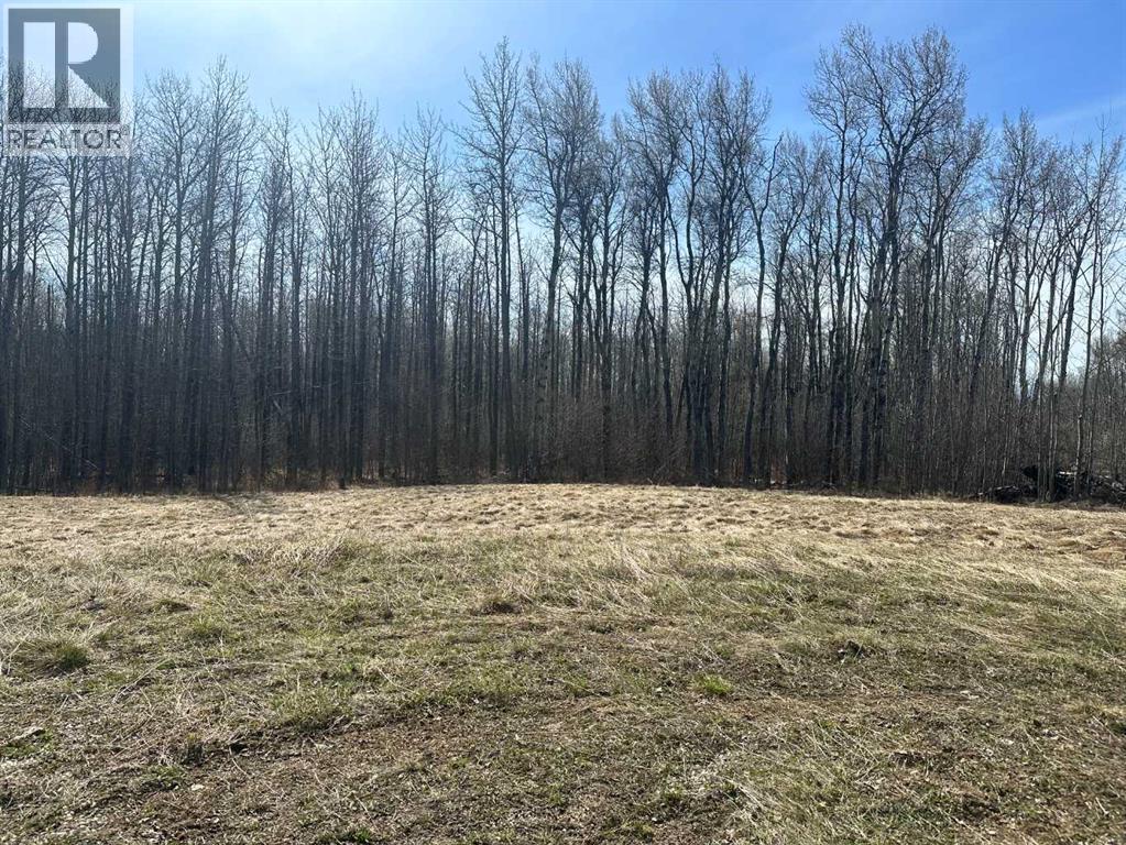 90058b Twp 720, Wembley, Alberta  T0H 3S0 - Photo 2 - A2308317