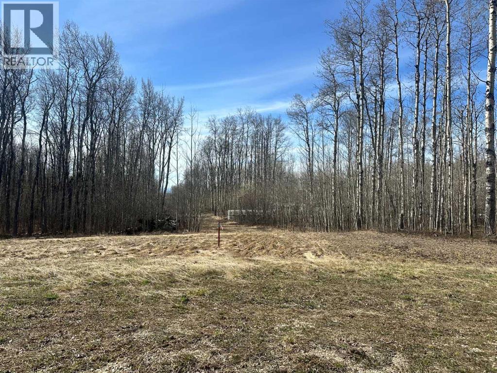 90058b Twp 720, Wembley, Alberta  T0H 3S0 - Photo 3 - A2308317