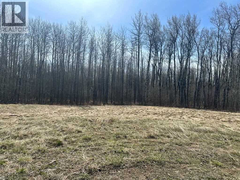 90058b Twp 720, Wembley, Alberta  T0H 3S0 - Photo 4 - A2308317