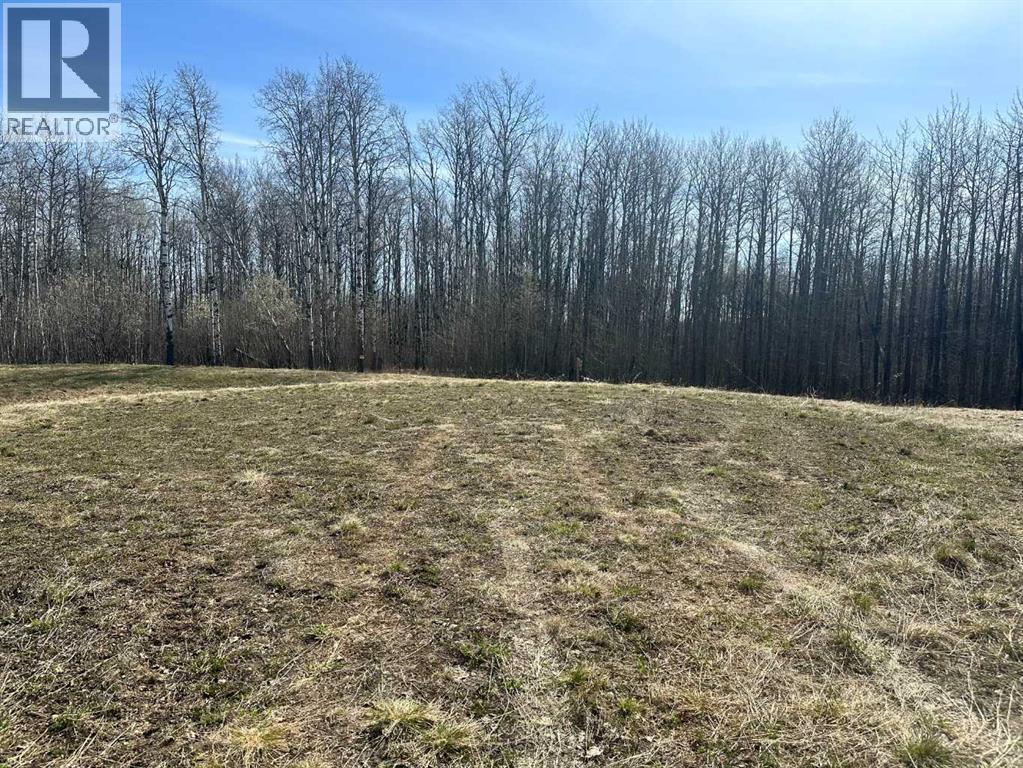 90058b Twp 720, Wembley, Alberta  T0H 3S0 - Photo 5 - A2308317