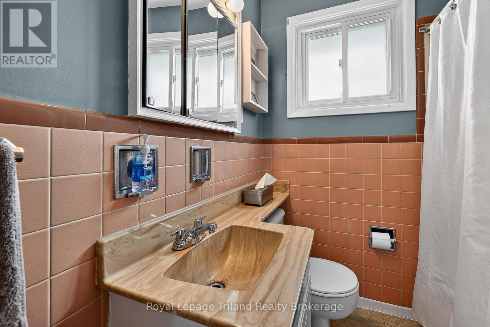 261 Springbank Avenue N, Woodstock, Ontario  N4S 7R2 - Photo 20 - X13087276