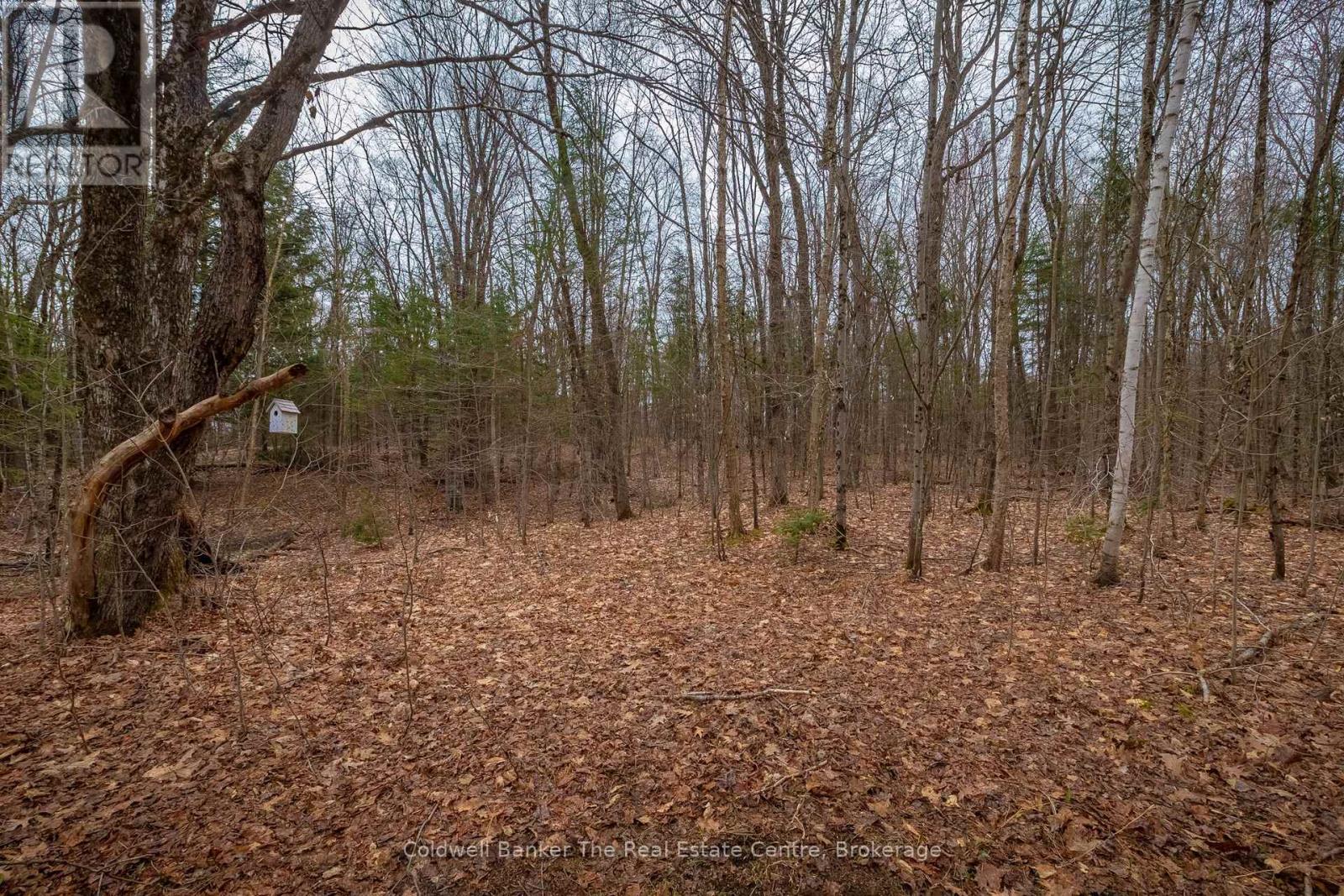 3016 118 Highway, Bracebridge, Ontario  P1L 1X1 - Photo 33 - X13082550