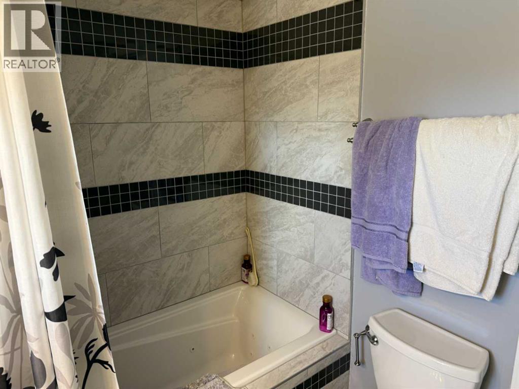 320 2 Avenue N, Champion, Alberta  T0L 0R0 - Photo 12 - A2301719