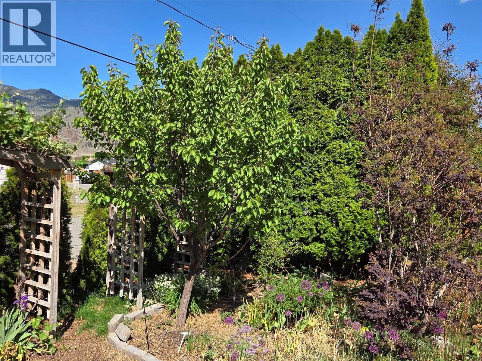 425 3rd Avenue, Keremeos, British Columbia  V0X 1N2 - Photo 32 - 10385674