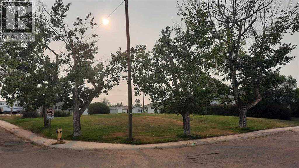 114 Railway Avenue S, Morrin, Alberta
