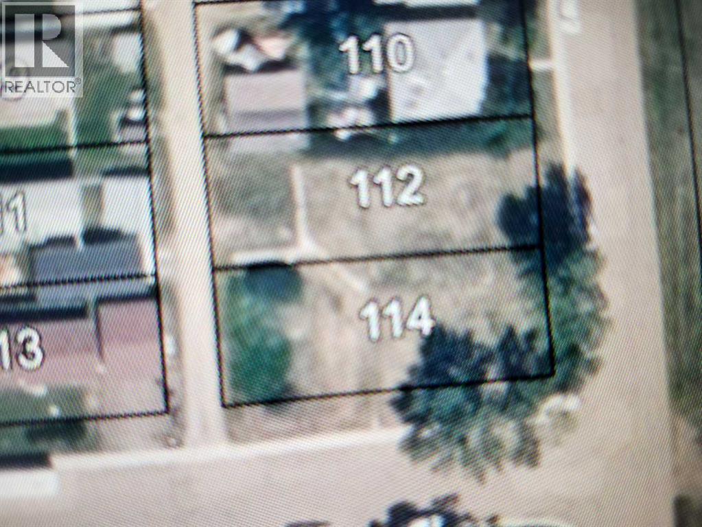 114 Railway Avenue S, Morrin, Alberta  T0J 2B0 - Photo 2 - A2308371