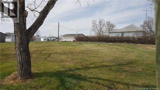 114 Railway Avenue S, Morrin, Alberta  T0J 2B0 - Photo 7 - A2308371