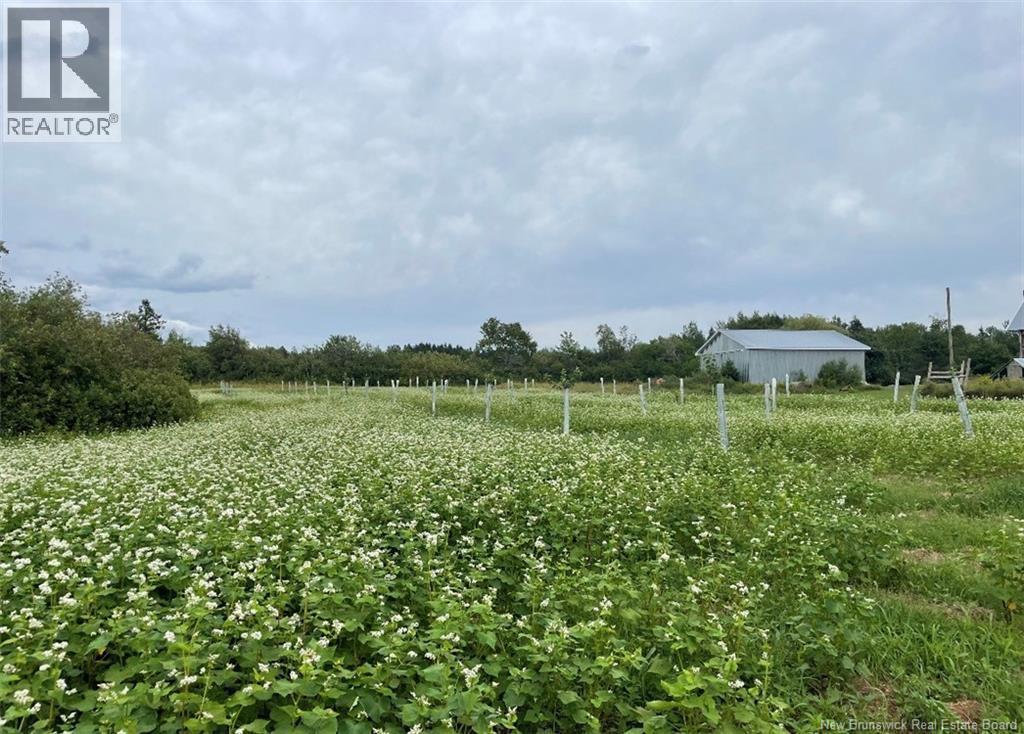 21 Joseph Lane, Lewis Mountain, New Brunswick  E4J 3N1 - Photo 33 - NB138078