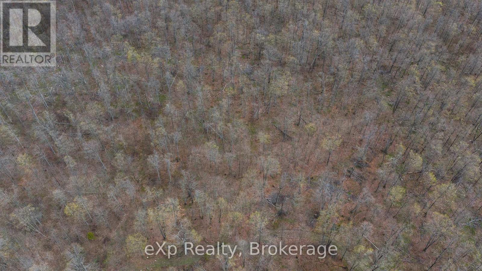 Lot 15 Conc 3, Meaford, Ontario  N4K 5W4 - Photo 26 - X13088068