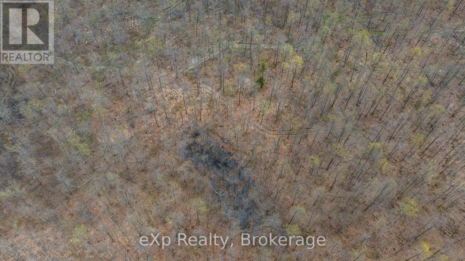 Lot 15 Conc 3, Meaford, Ontario  N4K 5W4 - Photo 34 - X13088068