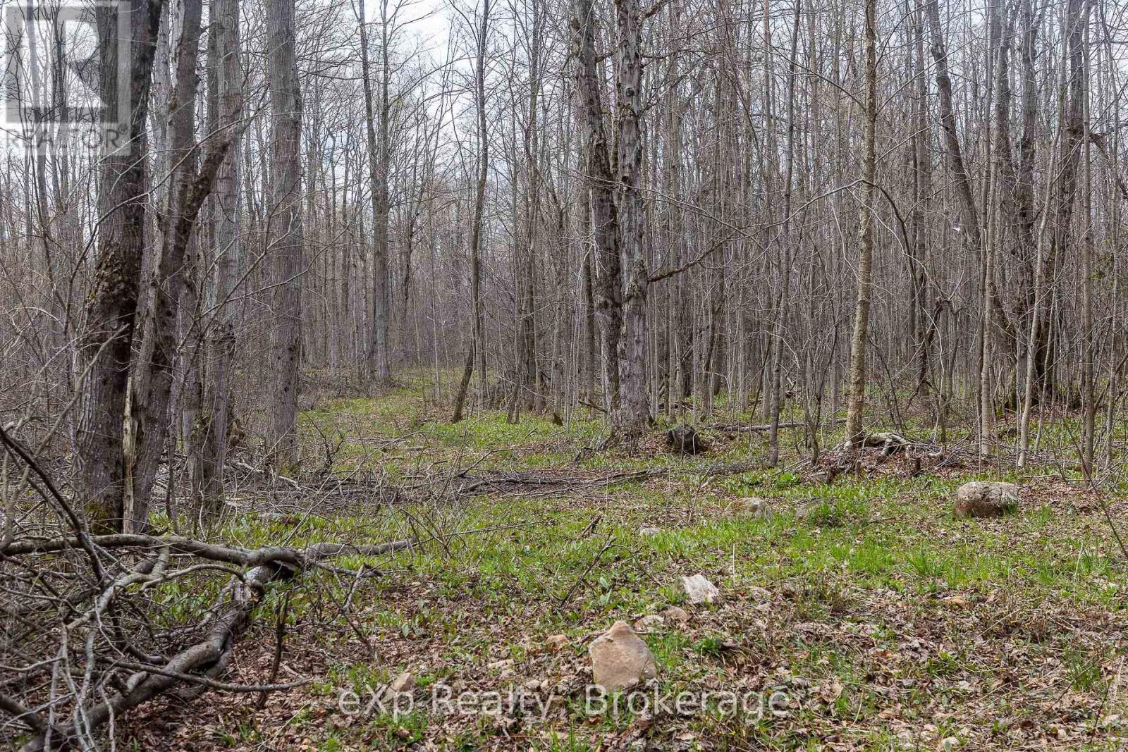 Lot 15 Conc 3, Meaford, Ontario  N4K 5W4 - Photo 6 - X13088068