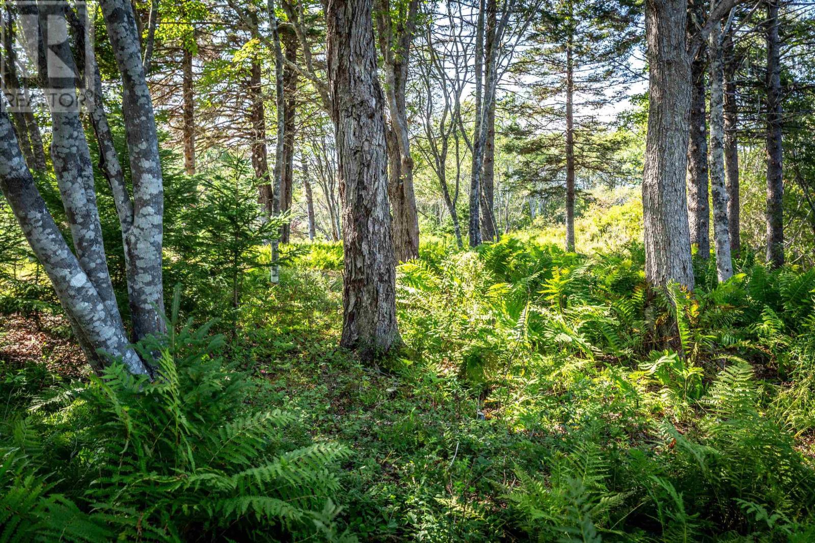 67 Graves Island Road, East Chester, Nova Scotia  B0J 1J0 - Photo 10 - 202609798
