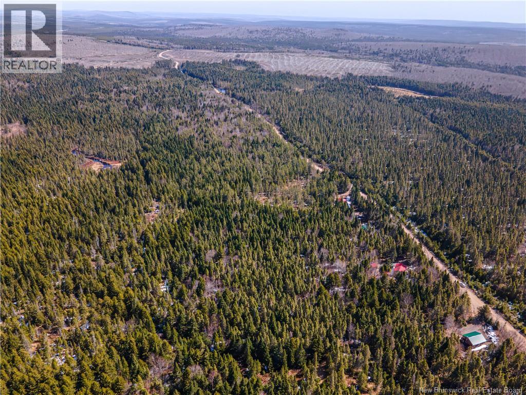 Lot 8 Shepody Road, Martin Head, New Brunswick  E4E 0K8 - Photo 20 - NB138655