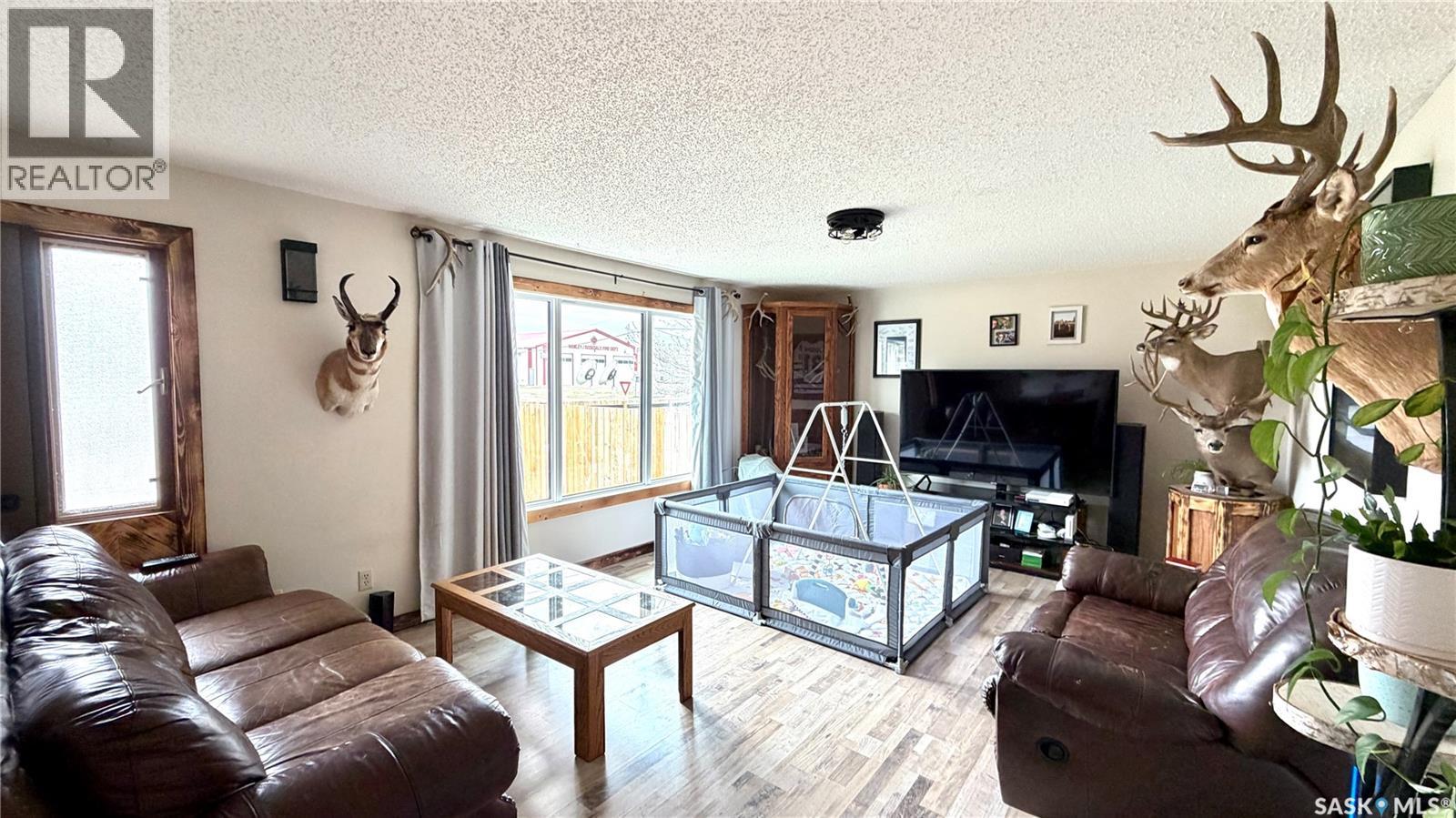 701 1st Street, Hanley, Saskatchewan  S0G 2E0 - Photo 18 - SK035023