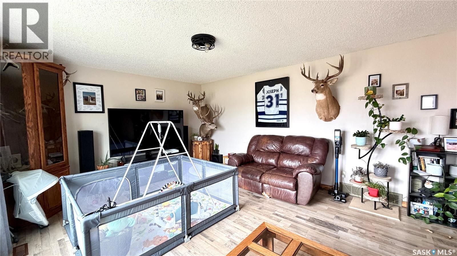 701 1st Street, Hanley, Saskatchewan  S0G 2E0 - Photo 19 - SK035023
