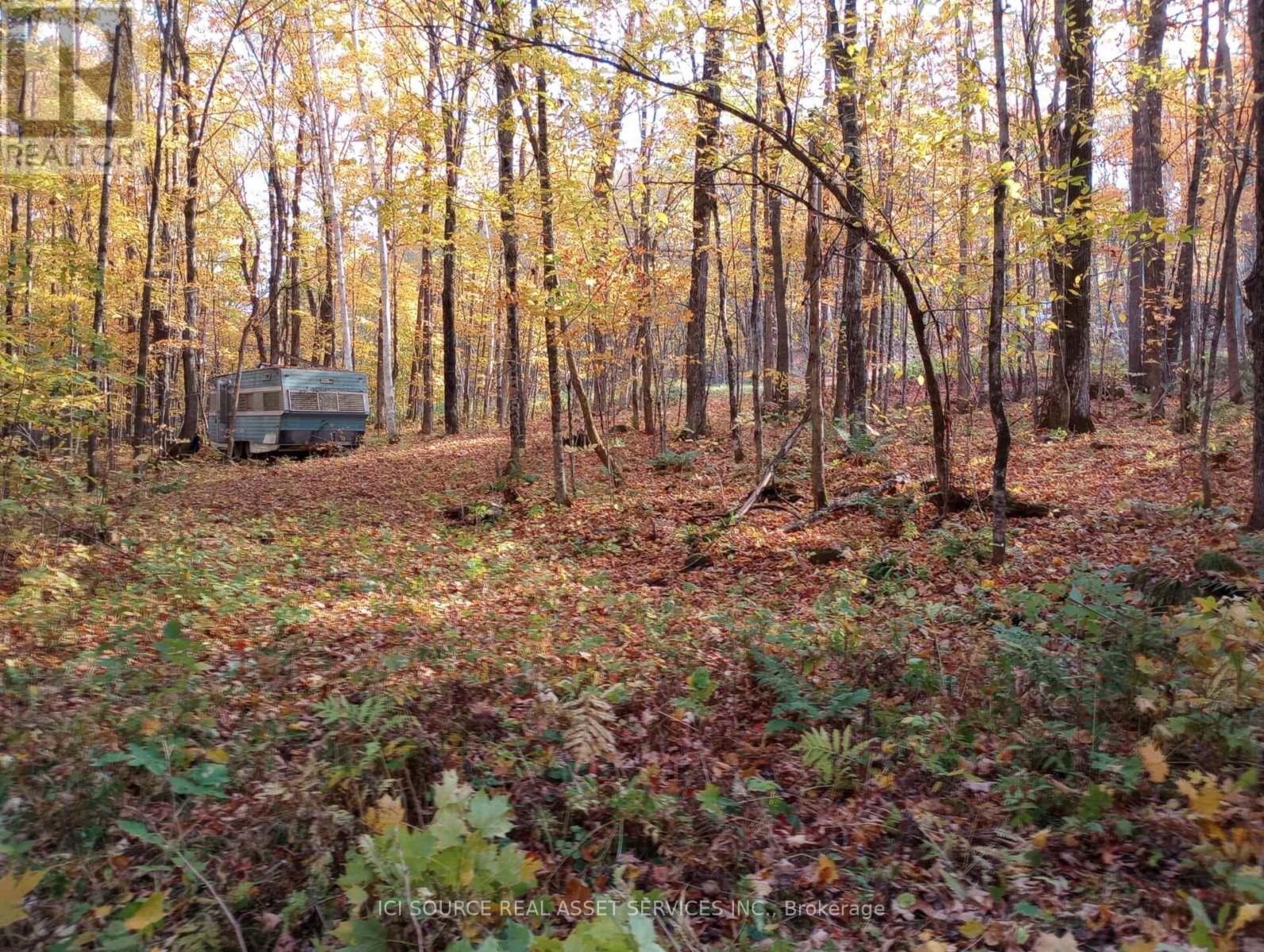 326 South River Road, Nipissing, Ontario  P0H 1W0 - Photo 11 - X13088142