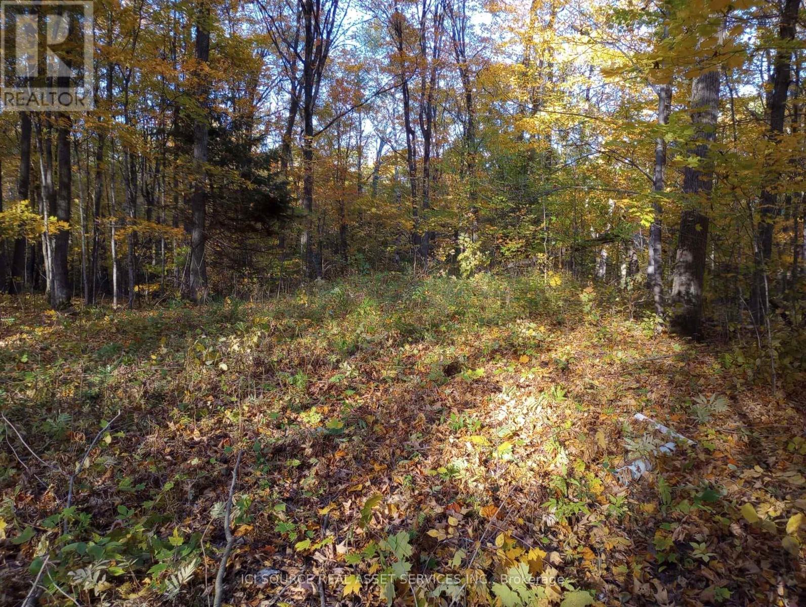 326 South River Road, Nipissing, Ontario  P0H 1W0 - Photo 16 - X13088142