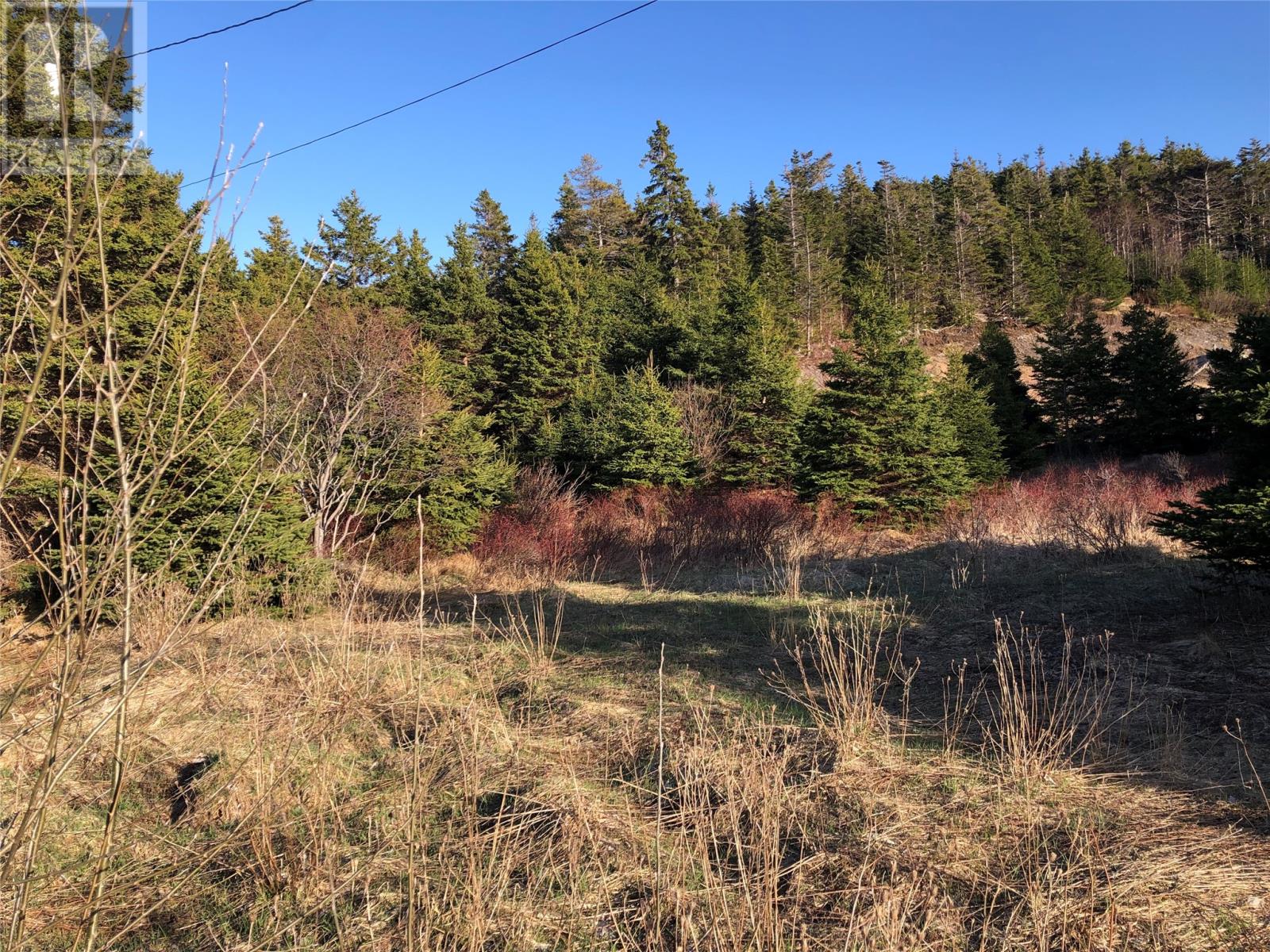 102 Harbour Road, Colliers, Newfoundland & Labrador  A0A 1Y0 - Photo 3 - 1296756