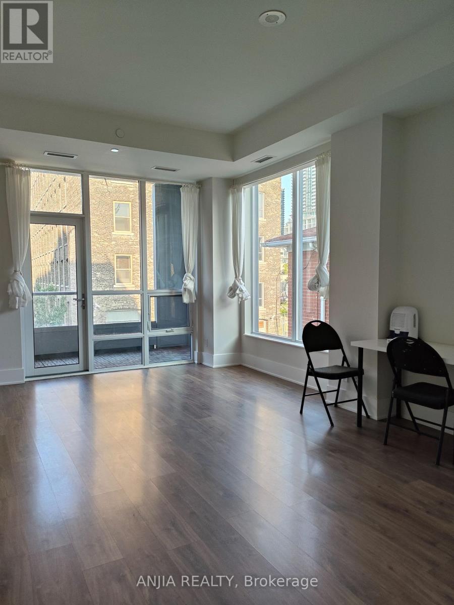 219 - 38 Cameron Street, Toronto, Ontario  M5T 0C3 - Photo 6 - C13088514