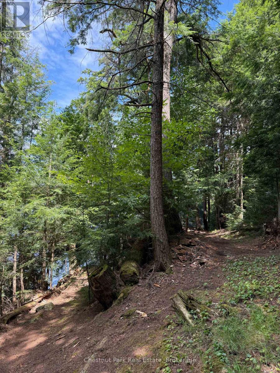 Apl1136e - 19 Cache Lake, South Algonquin, Ontario  P0A 1H0 - Photo 33 - X13088652