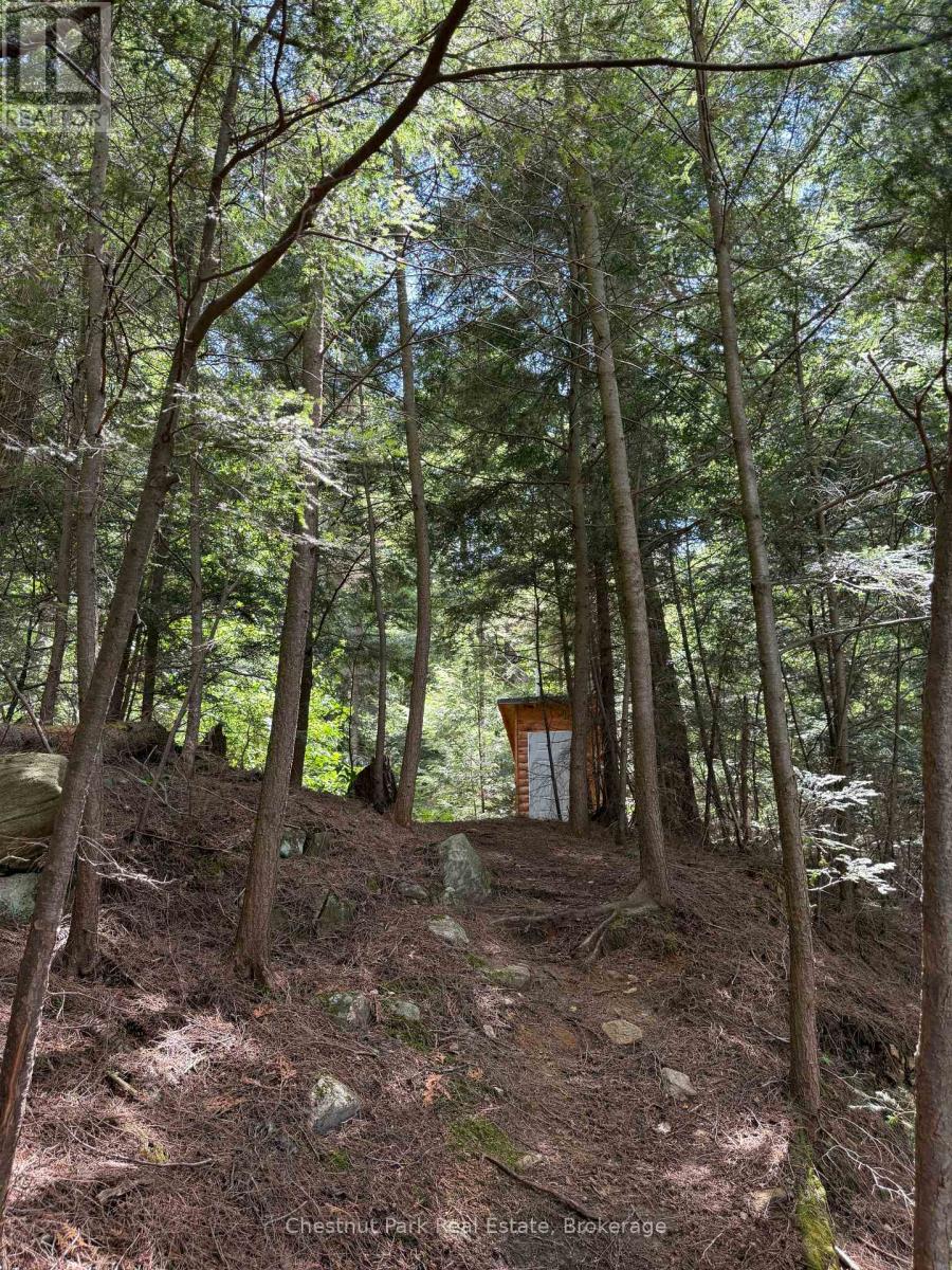 Apl1136e - 19 Cache Lake, South Algonquin, Ontario  P0A 1H0 - Photo 35 - X13088652