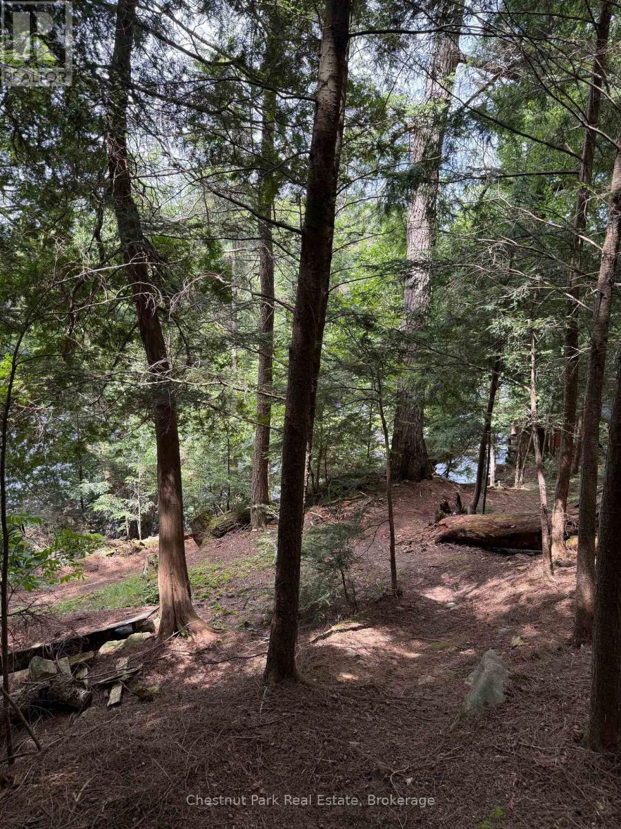 Apl1136e - 19 Cache Lake, South Algonquin, Ontario  P0A 1H0 - Photo 38 - X13088652