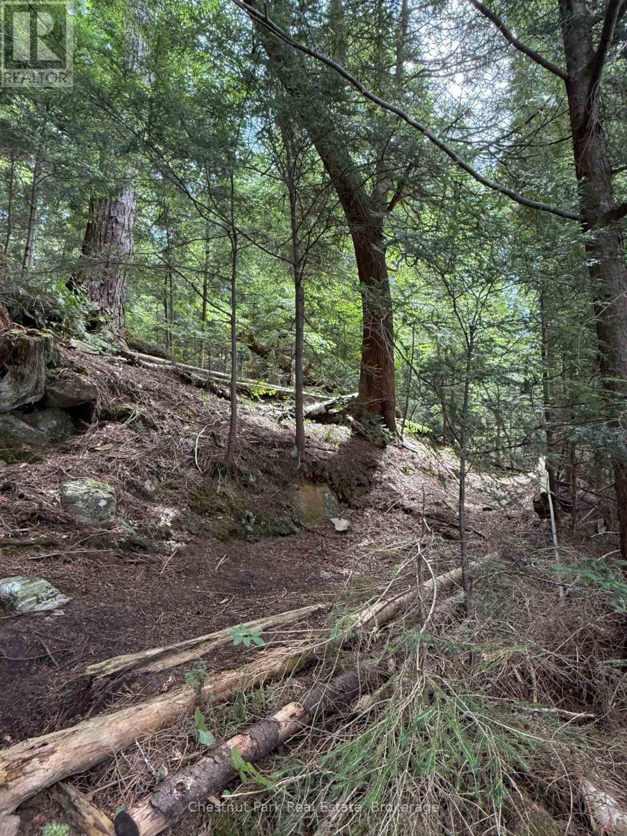 Apl1136e - 19 Cache Lake, South Algonquin, Ontario  P0A 1H0 - Photo 42 - X13088652