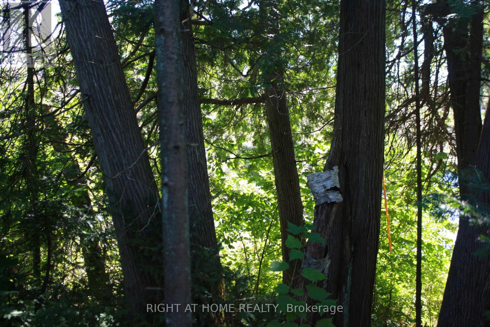 164 Riding Stable Road, West Nipissing, Ontario  P2B 8G5 - Photo 10 - X13088758