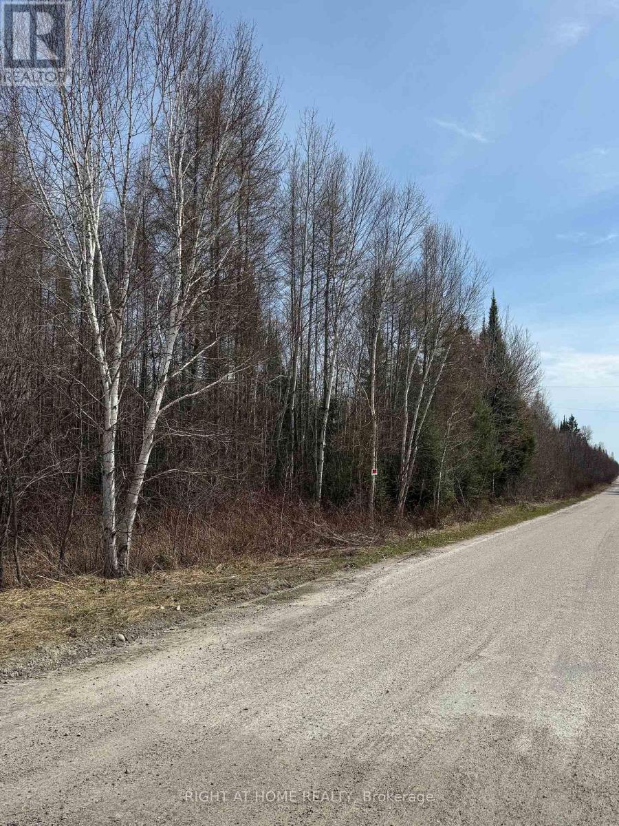 164 Riding Stable Road, West Nipissing, Ontario  P2B 8G5 - Photo 12 - X13088758