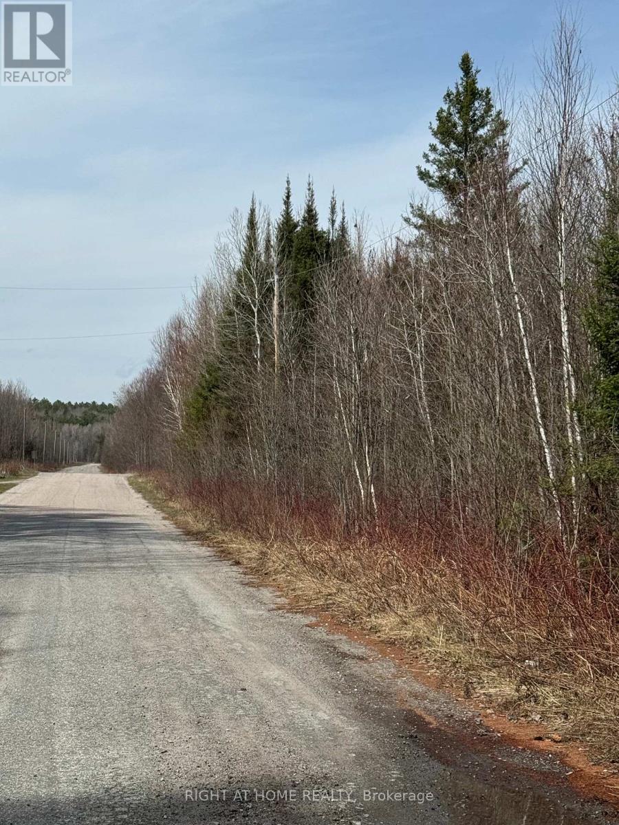 164 Riding Stable Road, West Nipissing, Ontario  P2B 8G5 - Photo 14 - X13088758