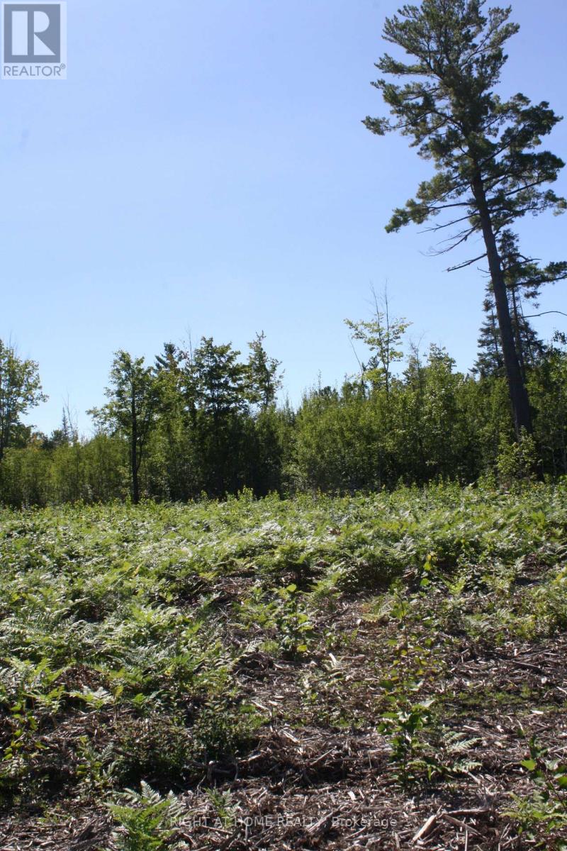 164 Riding Stable Road, West Nipissing, Ontario  P2B 8G5 - Photo 6 - X13088758
