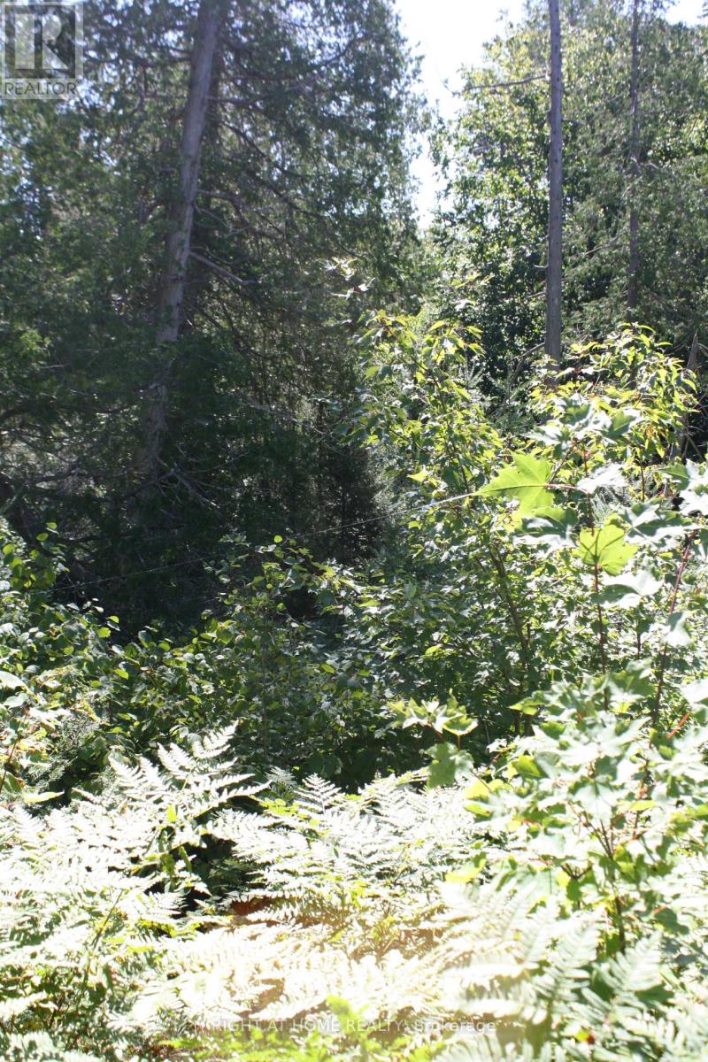 164 Riding Stable Road, West Nipissing, Ontario  P2B 8G5 - Photo 7 - X13088758
