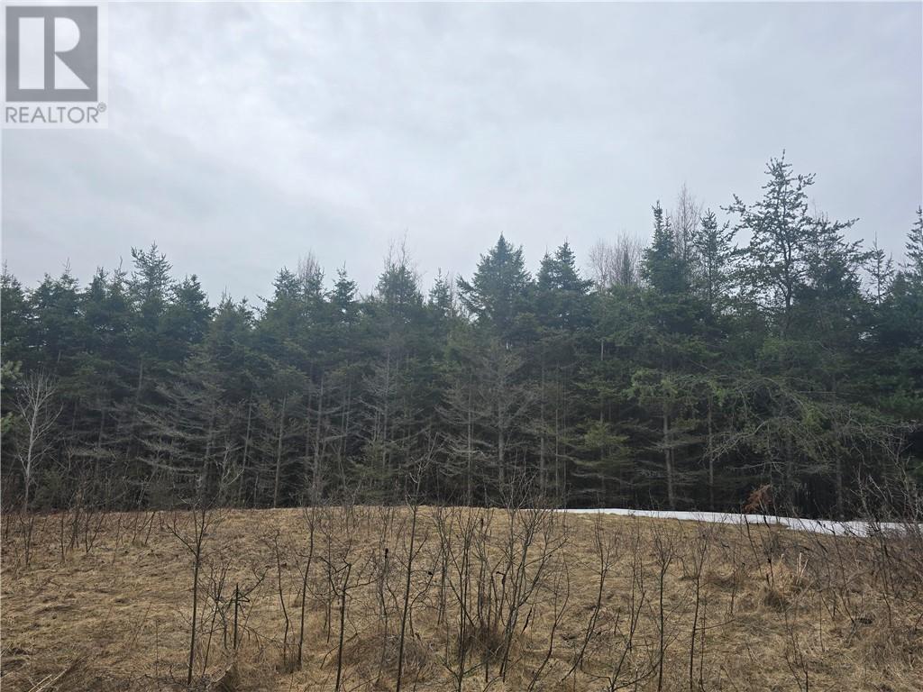 Lot 7 Laurin Road, West Nipissing, Ontario  P0M 2M0 - Photo 8 - 2127431