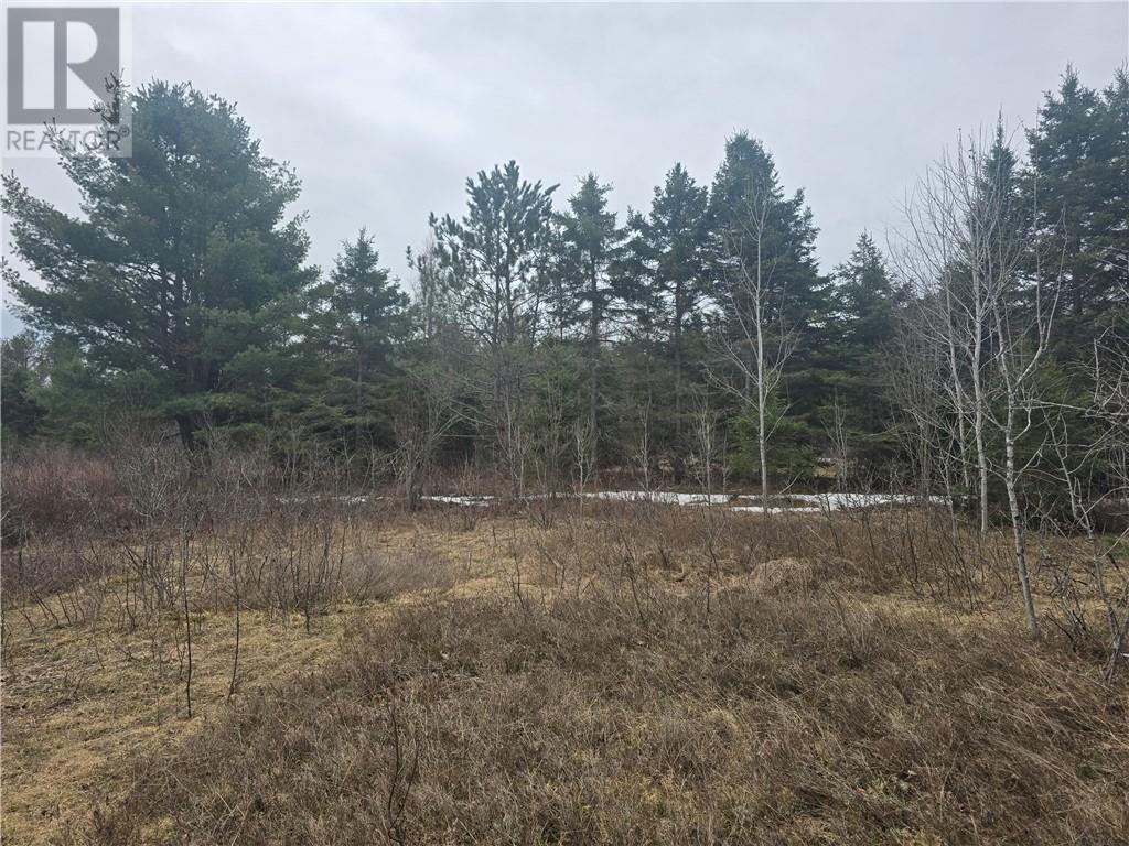 Lot 7 Laurin Road, West Nipissing, Ontario  P0M 2M0 - Photo 7 - 2127431